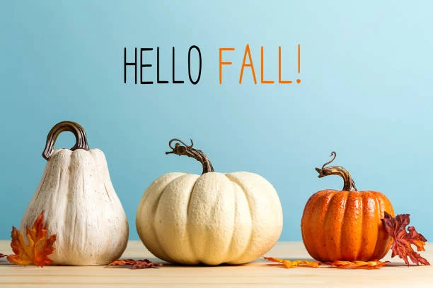 Hello Fall Photo of White and Orange Pumpkins and Gourds
