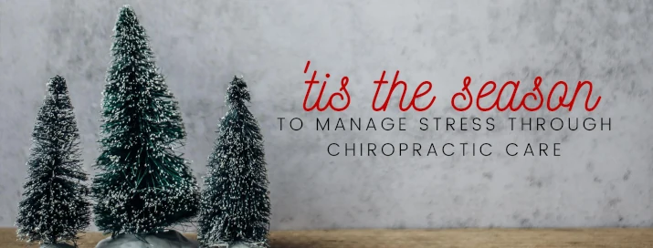 Holiday Special Offer